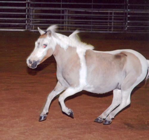 jack liberty2