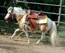 jack ride