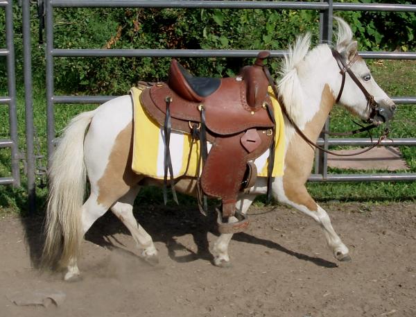 jack ride2