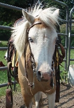 jack ride face