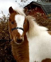 QueenieBeautiful