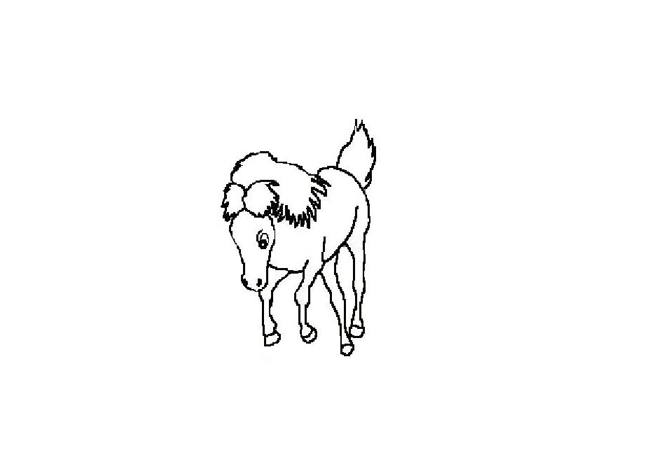 horse