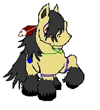 war pony