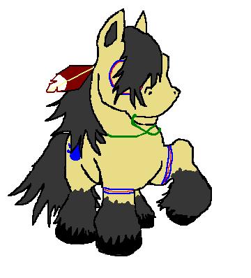 war pony