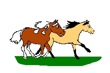 pony pals