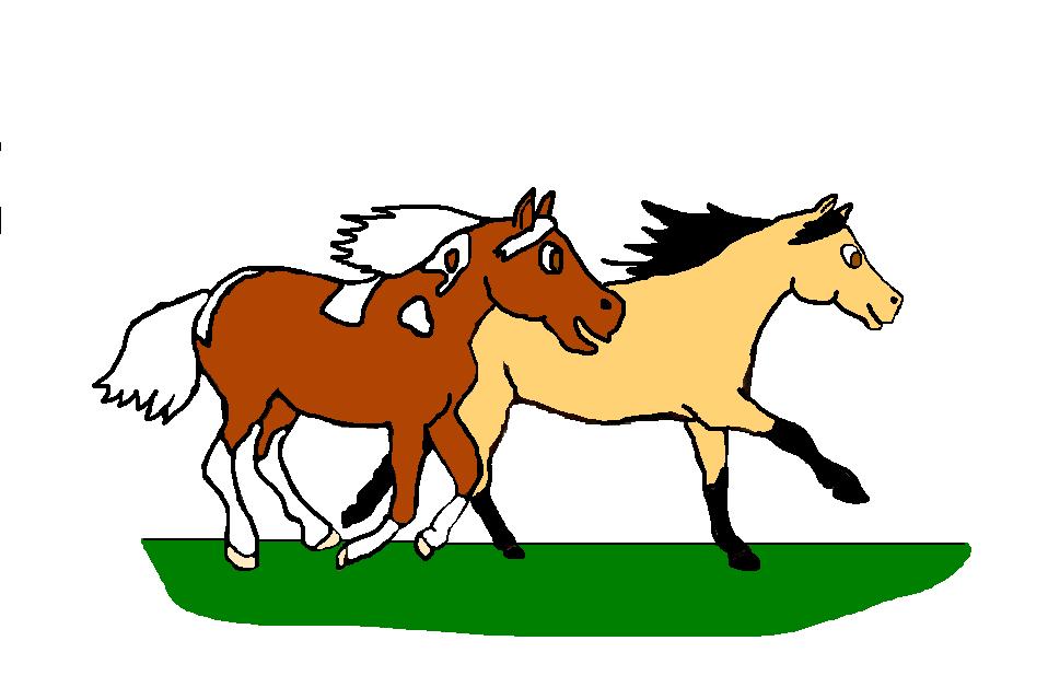 pony pals
