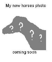 mystery