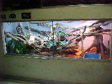 Brazilian enclosure