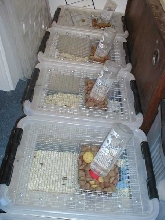 mice cages