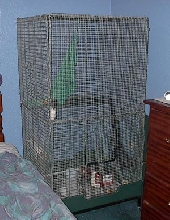cage