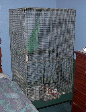 cage