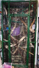 GliderCage