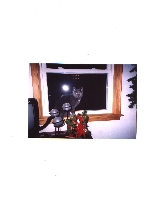 whos that kitty in the window...TWISTER!