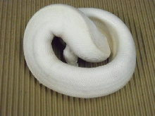 35-I