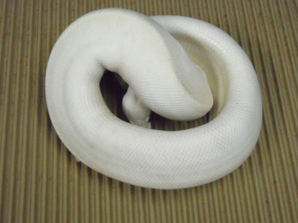 35-I