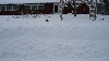 winter1