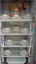incubator1