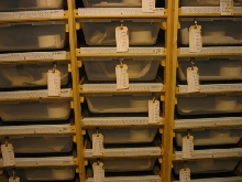 id cages3