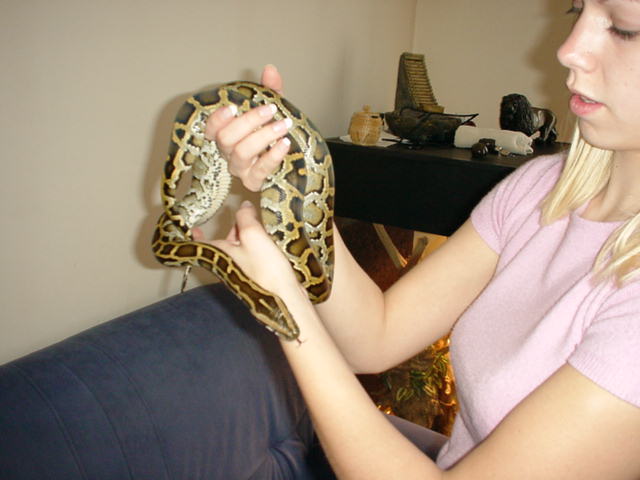 Shiva