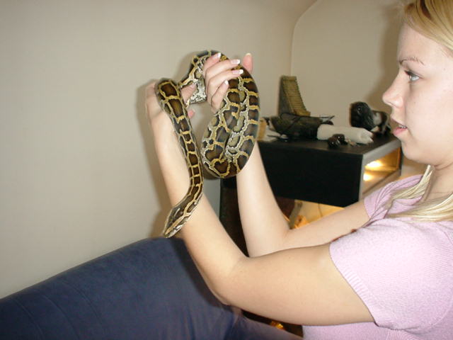 Shiva again