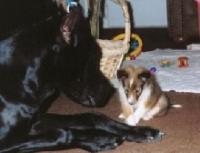 Walter and Daisy