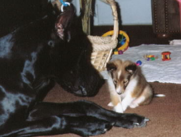 Walter and Daisy