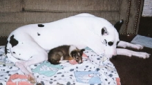 August and Daisy