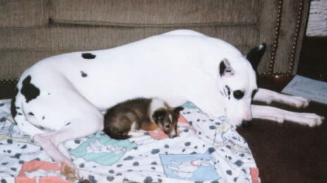 August and Daisy