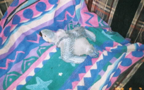 Hannah relaxing