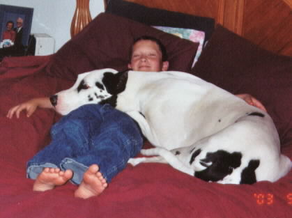 August and Steven