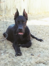 Walter Outside