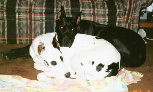 Best Friends