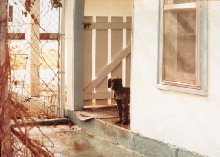 Woody outside