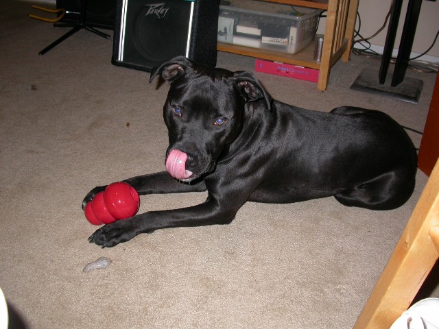 chewykong
