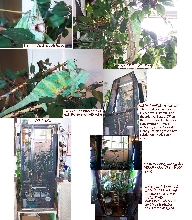 WebPic1