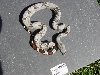 8-31-F6