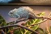[bleep] I'm cute!
