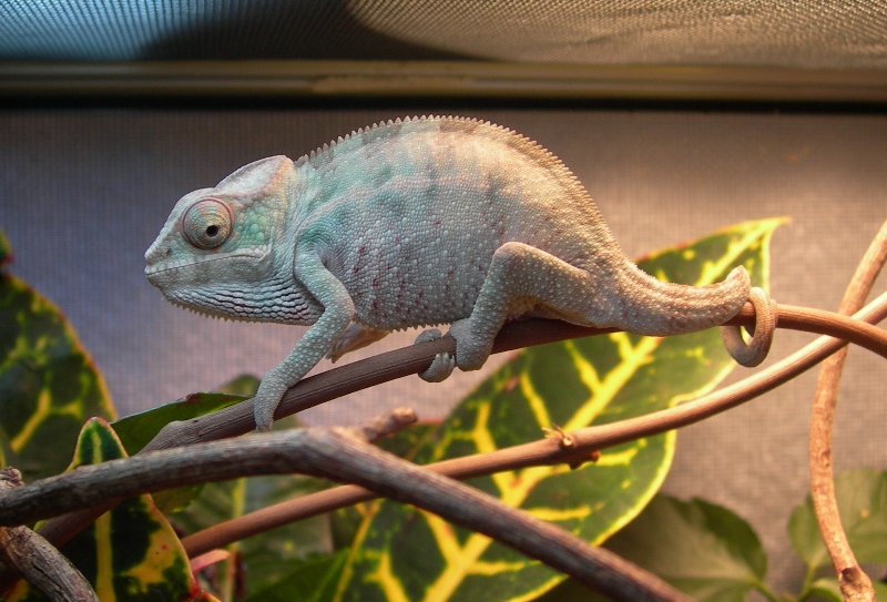 [bleep] I'm cute!