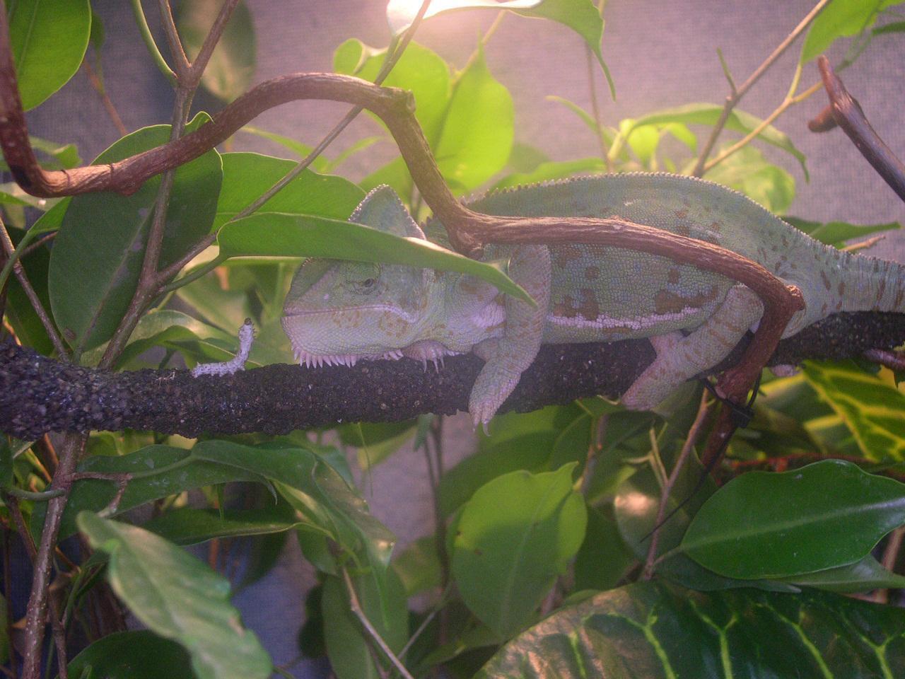 hey cutie!