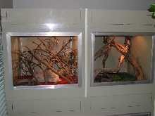 2ftx2ftx2ft Frilly cages