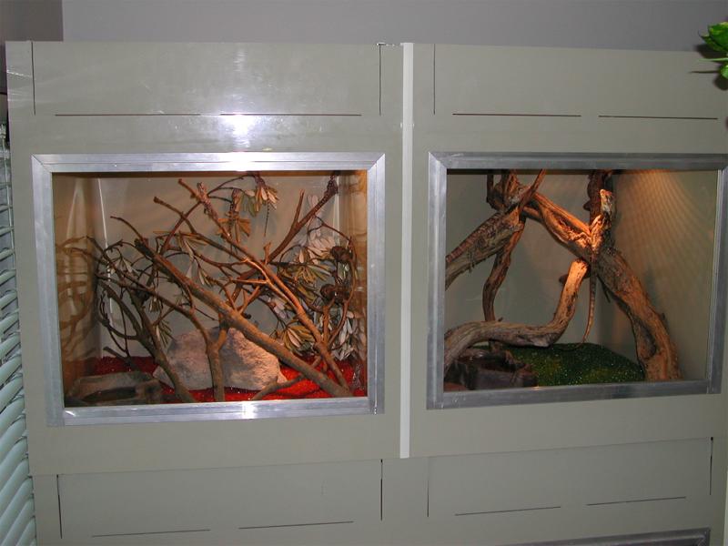 2ftx2ftx2ft Frilly cages