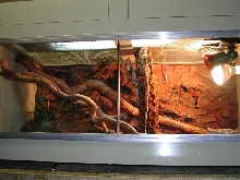 4ft Frilly cage