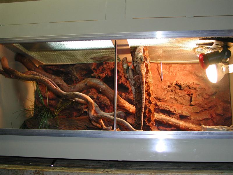 4ft Frilly cage