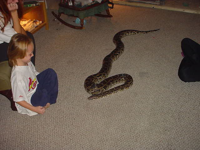 snaps big broother (buddy)