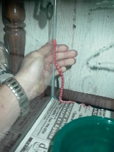 MY NEW LITTLE TANGERINE CORN SNAKE