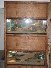 My Dbl, Beardie enclosure