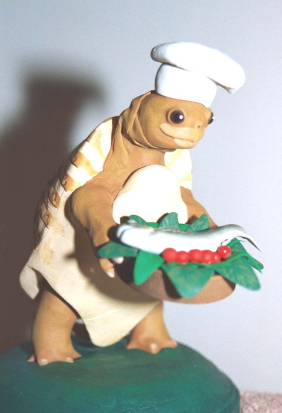 Tortoise Chef
