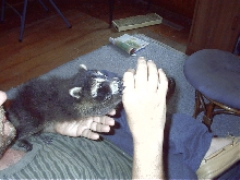 feeding time, got milk?