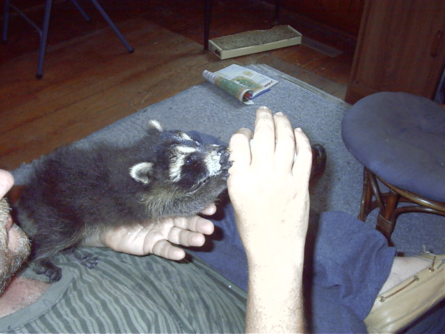 feeding time, got milk?