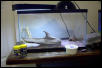 My Leopard Gecko Setup